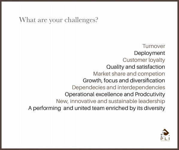 What are your challenge- SANS CADRE